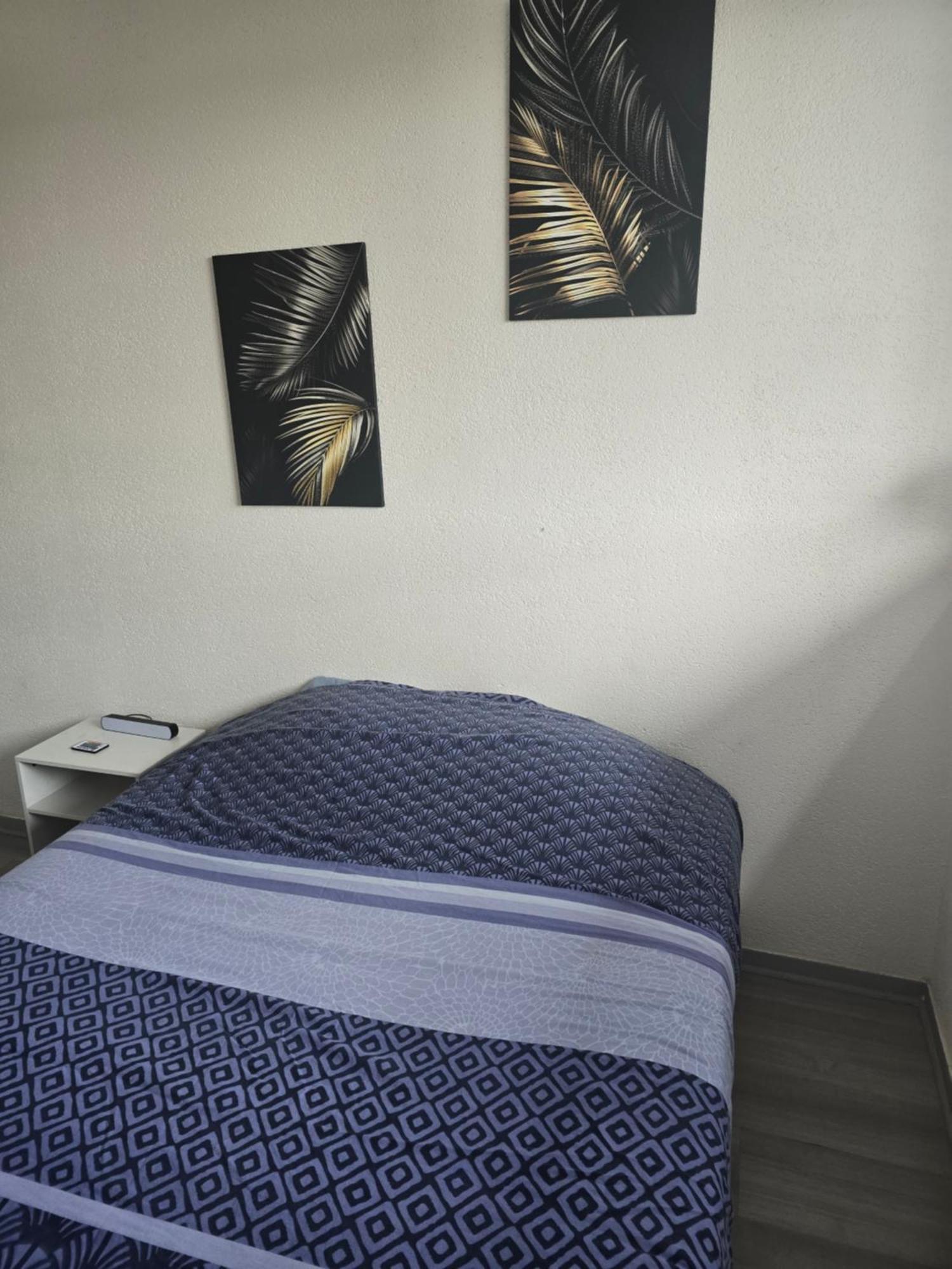 Cocon Wifi Netflix Parking Gratuit Apartment Belfort Exterior photo